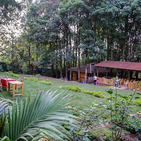 Africana Yard Китале Экстерьер фото